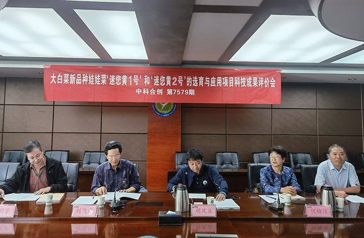 大白菜新品种娃娃菜‘迷您黄1号’和‘迷您黄2号’的选育与应用 anli.jpg